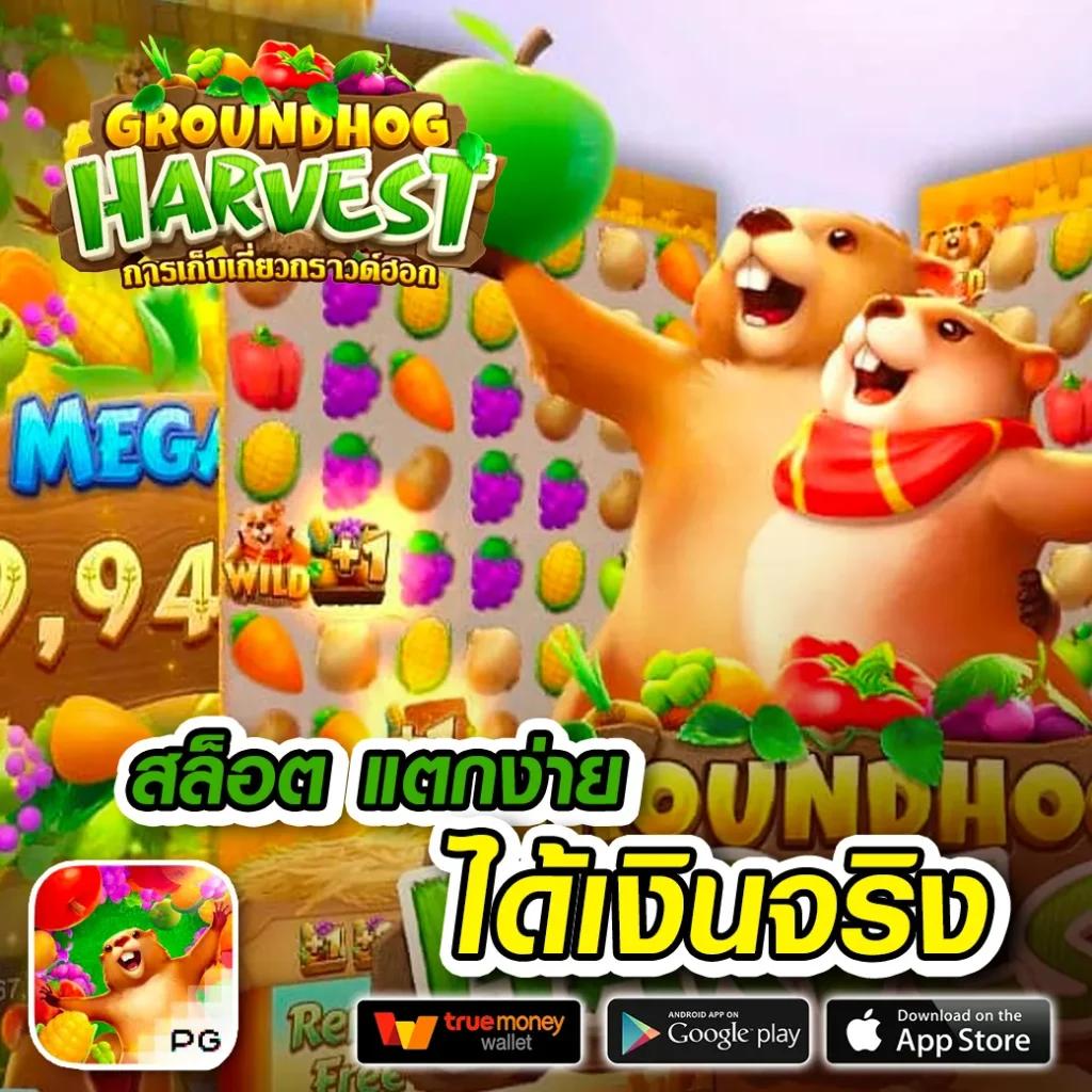 สูตรบาคาร่า เว็บตรง/สล็อต ฝากถอนออโต้ ไม่ผ่านเอเย่นต์ 2026